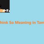 I Think So Meaning in Tamil