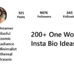 One Word Insta Bio