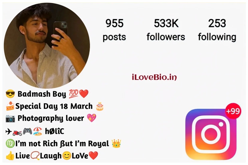 Best Instagram Bio for Boys Attitude